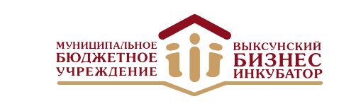 МАУ «Выксунский бизнес-инкубатор»