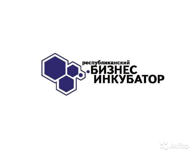 Бизнес-инкубатор Удмуртской Республики